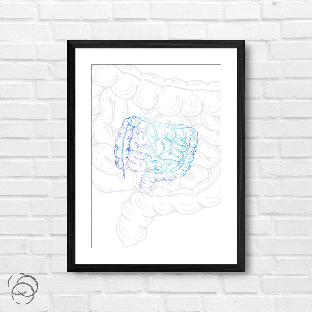 Anatomy Hand Drawn Outline Intestine Print - Pink Tag Prints